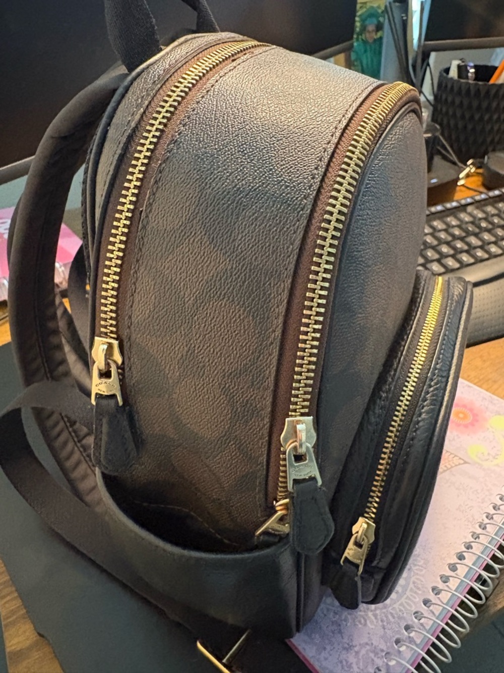 Coach Small Brown Signature Canvas & Leather Backpack with Gold Hardware - Picture 9 of 15